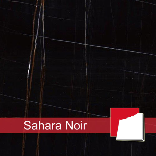 Sahara Noir
