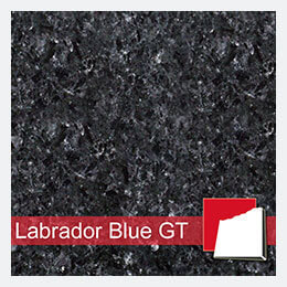 Labrador Blue GT